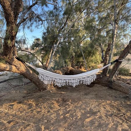 Casa Agave: Comfy Joshua Tree Cottage With Free Breakfast Bar Extérieur photo