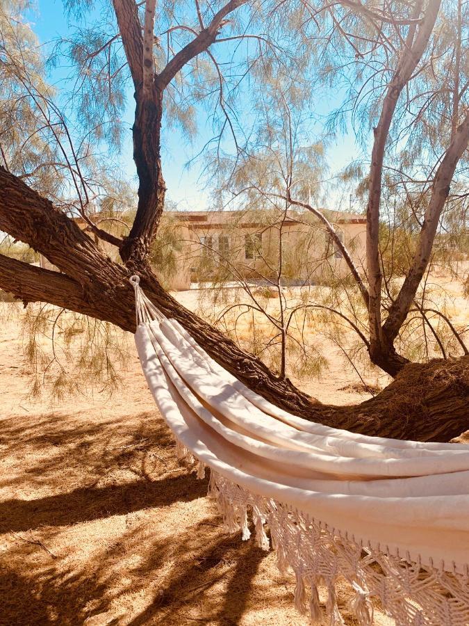 Casa Agave: Comfy Joshua Tree Cottage With Free Breakfast Bar Extérieur photo