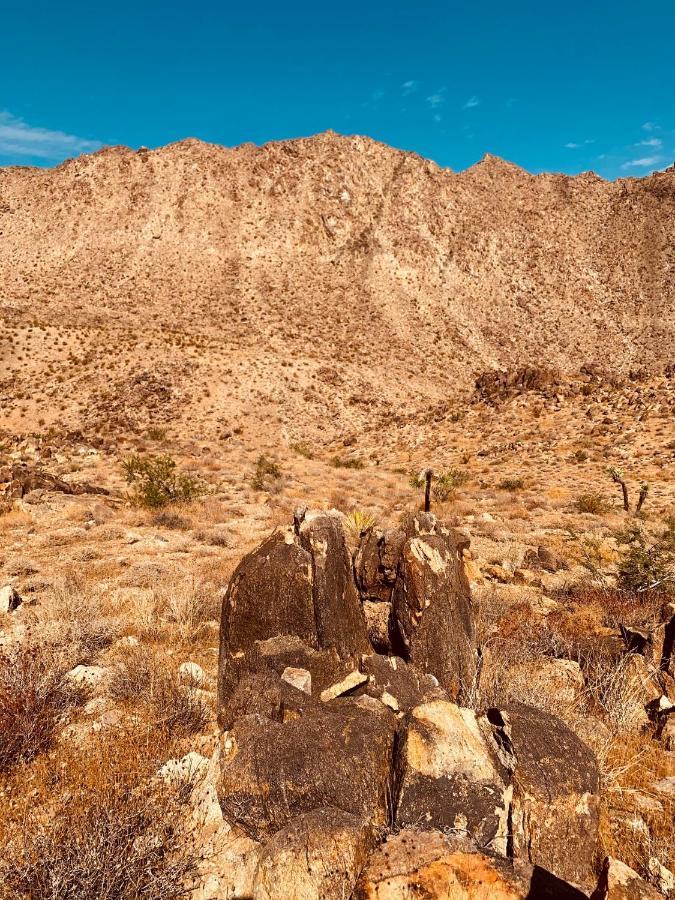 Casa Agave: Comfy Joshua Tree Cottage With Free Breakfast Bar Extérieur photo