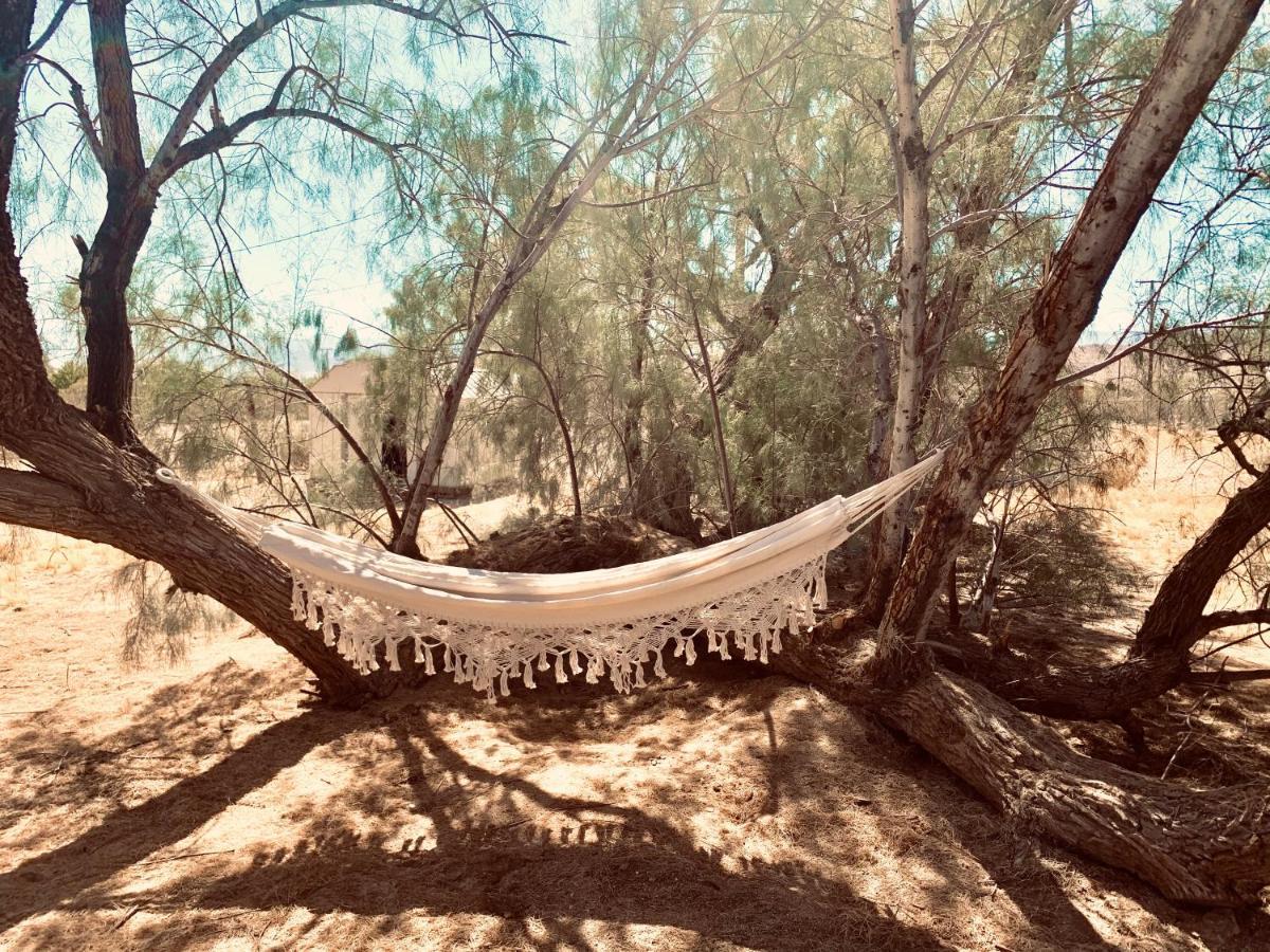 Casa Agave: Comfy Joshua Tree Cottage With Free Breakfast Bar Extérieur photo