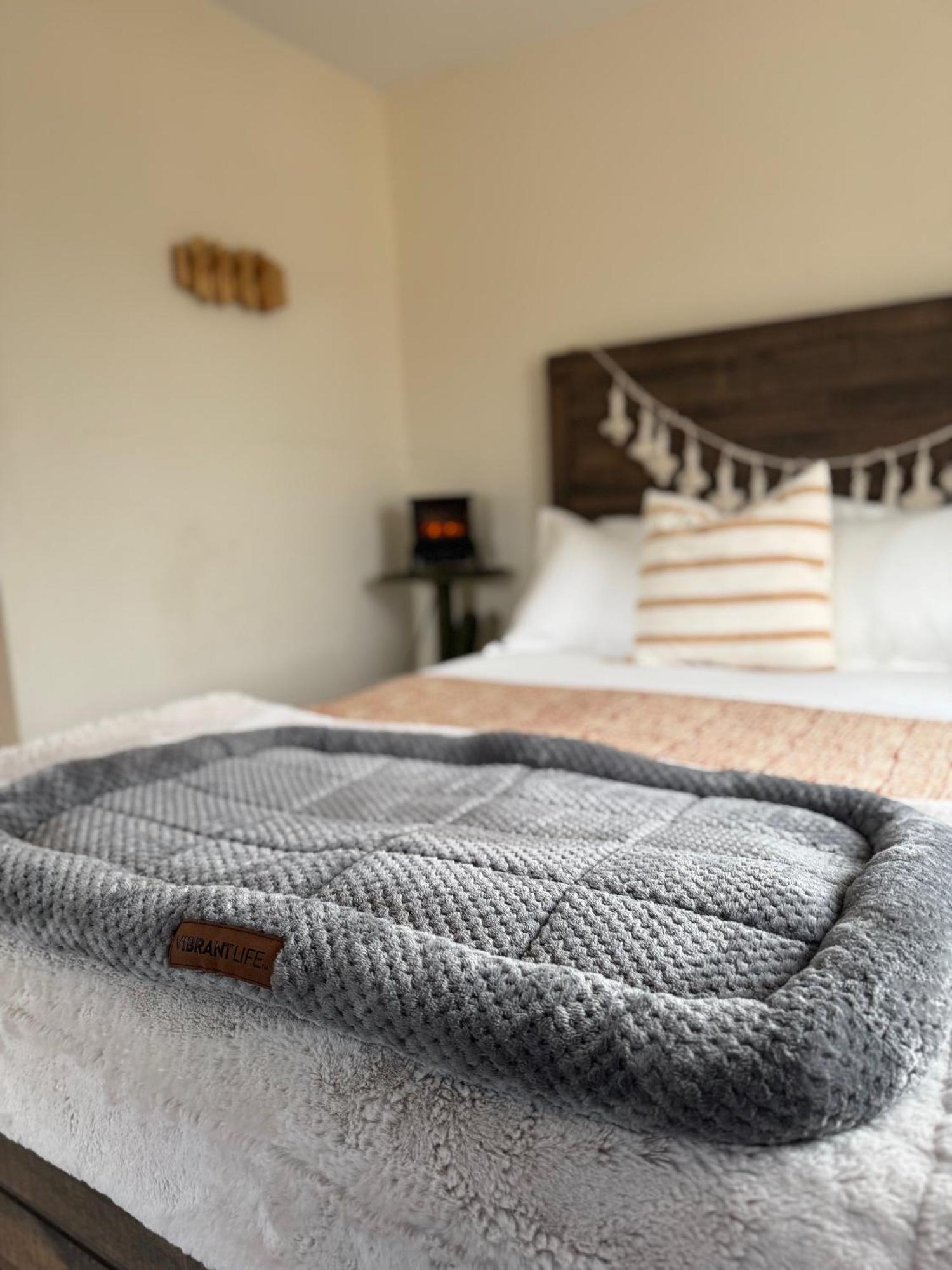 Casa Agave: Comfy Joshua Tree Cottage With Free Breakfast Bar Extérieur photo