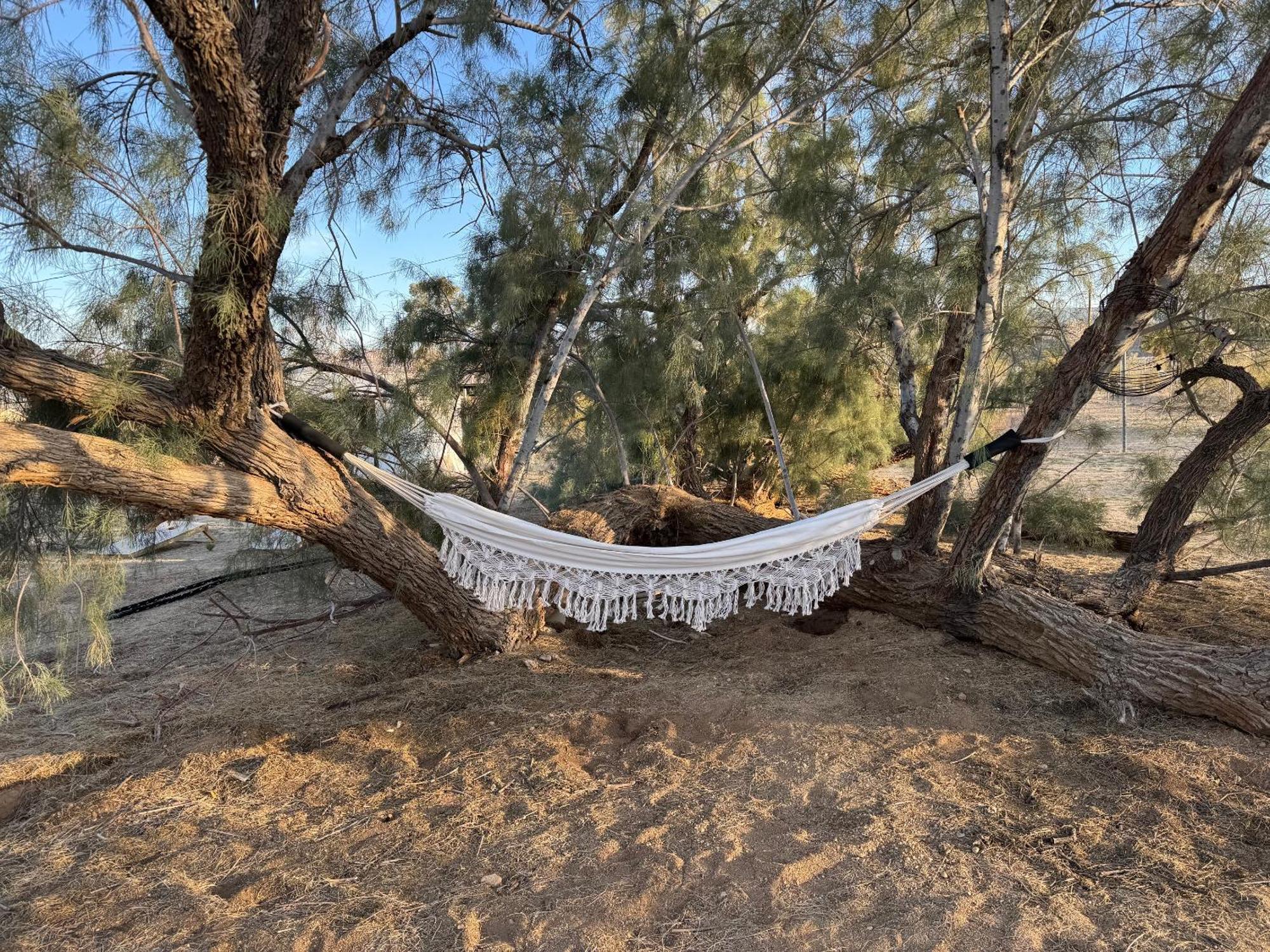 Casa Agave: Comfy Joshua Tree Cottage With Free Breakfast Bar Extérieur photo